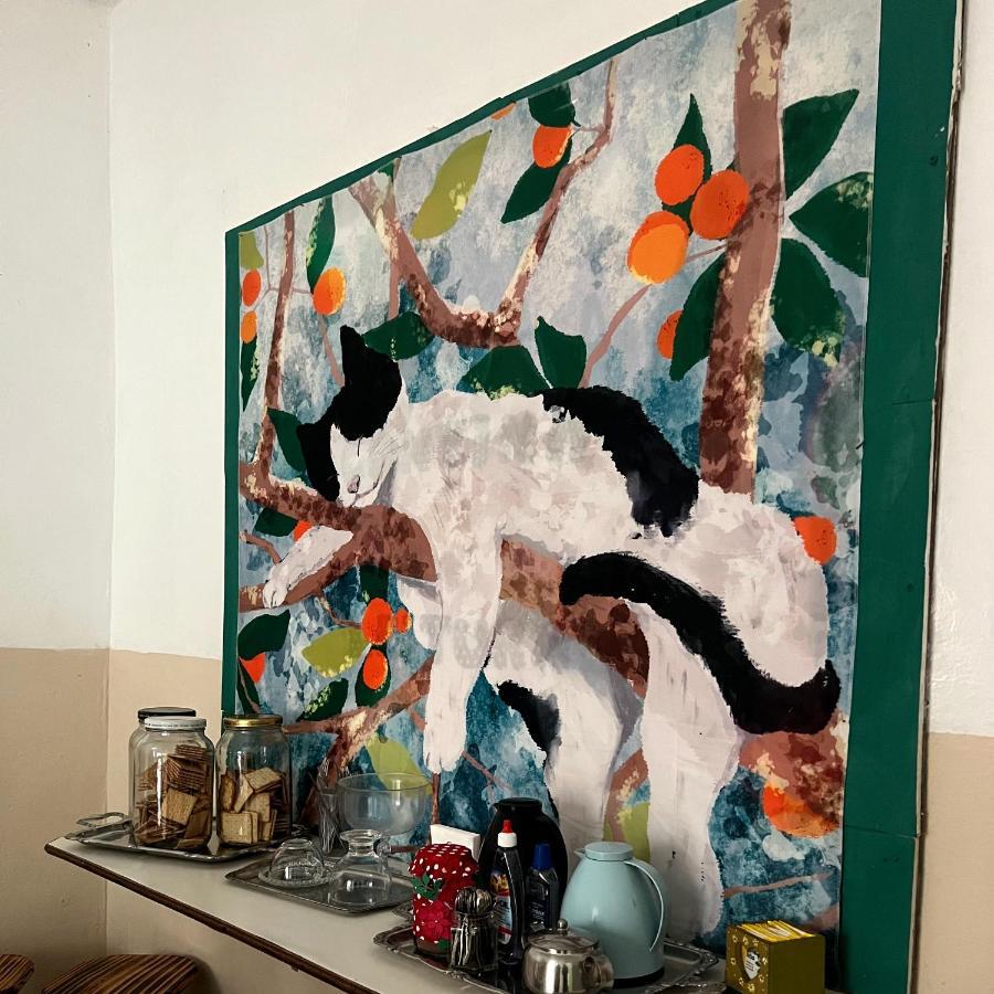 Casa Jardim Hostel Bh - Santa Efigenia - Paraiso Бело Оризонти Екстериор снимка